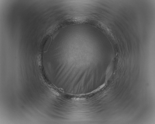 X0000068820689200605191833