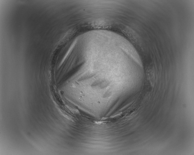 X0000068820690200605191833