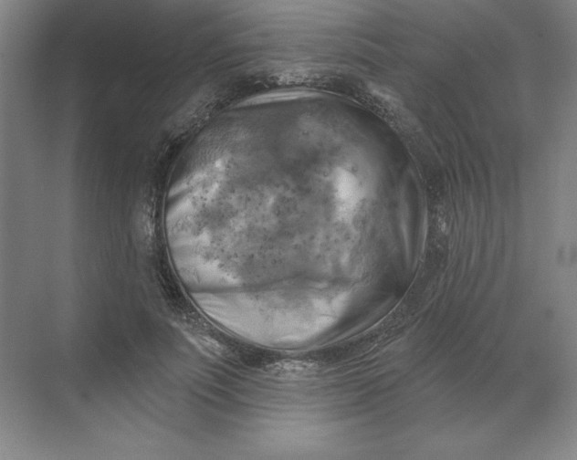 X0000068820691200605191833