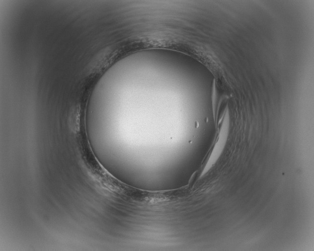 X0000068820694200605191833