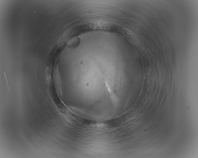 X0000068820695200605191833