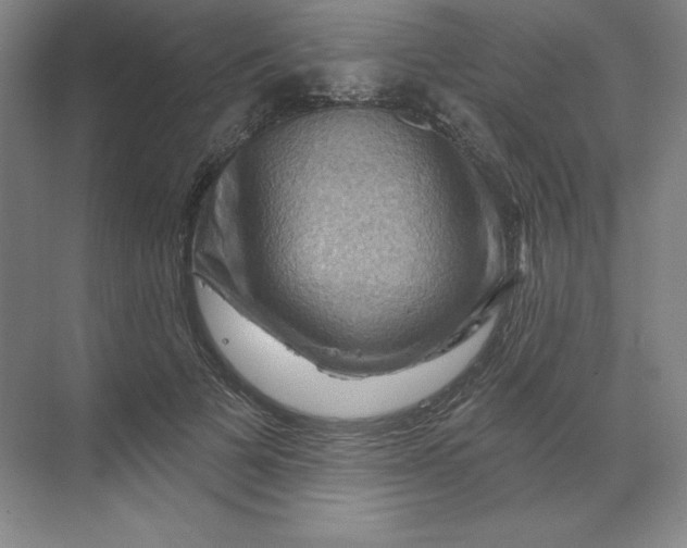 X0000068820697200605191833