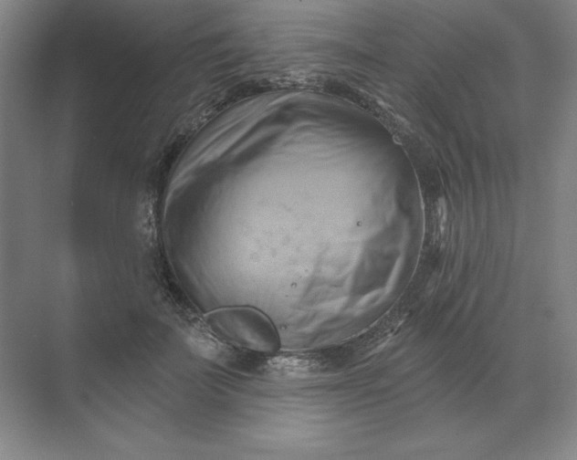 X0000068820699200605191833