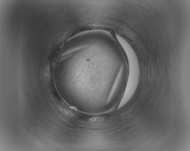 X0000068820700200605191833