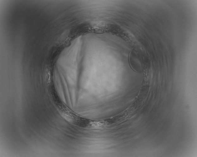 X0000068820703200605191833