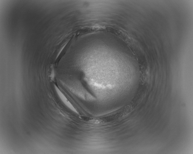 X0000068820704200605191833