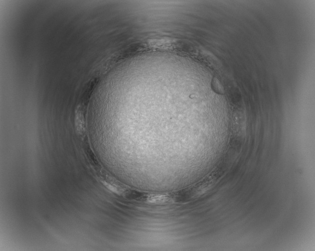 X0000068820705200605191833