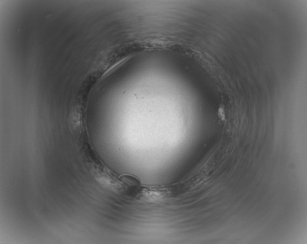 X0000068820706200605191833