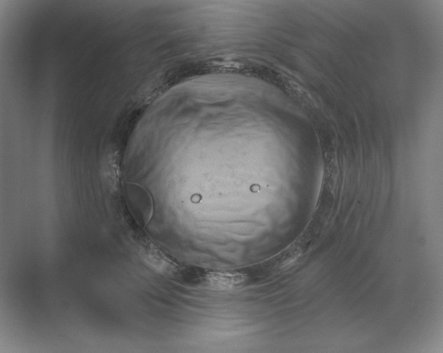 X0000068820707200605191833