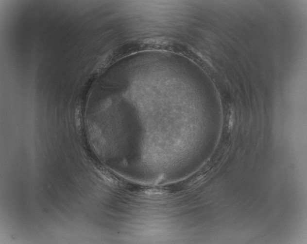 X0000068820708200605191833