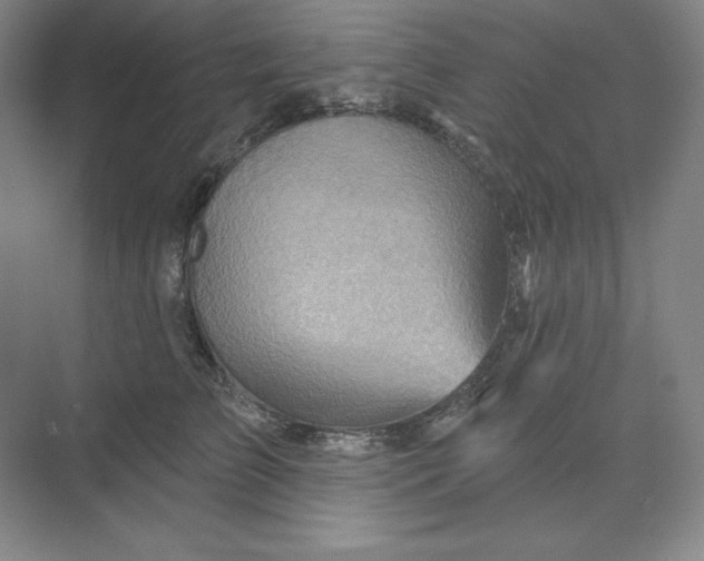 X0000068820709200605191833