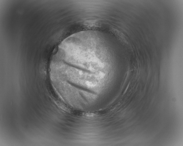 X0000068820710200605191833