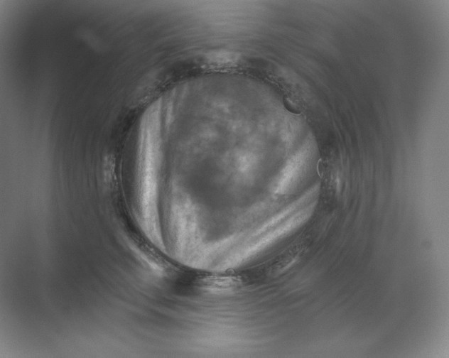 X0000068820711200605191833