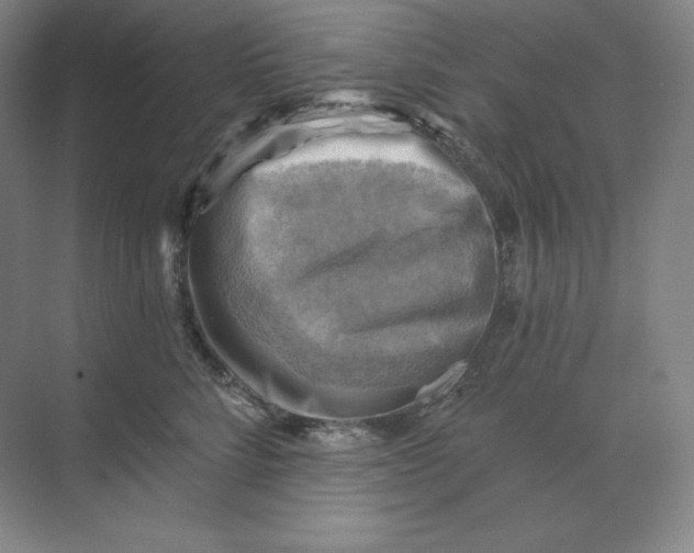 X0000068820712200605191833