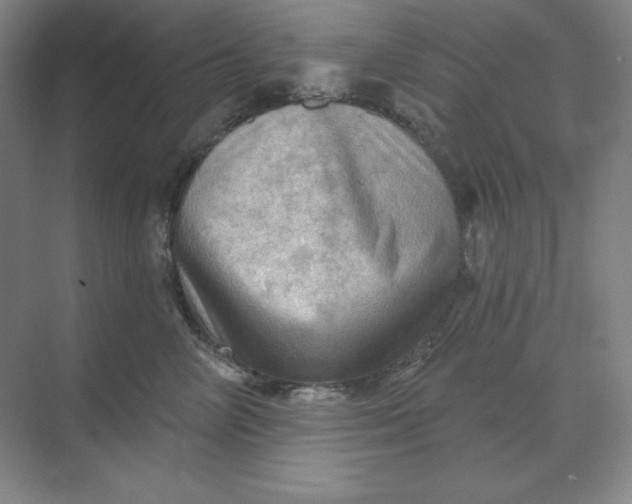 X0000068820714200605191833