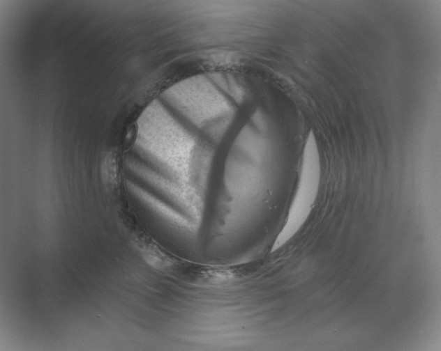 X0000068820715200605191833