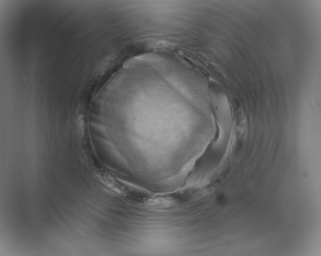 X0000068820716200605191833