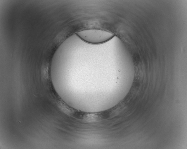 X0000068820717200605191833