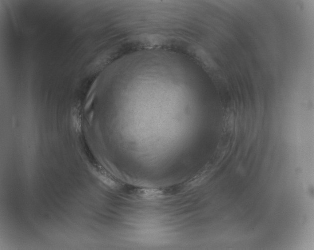 X0000068820719200605191833