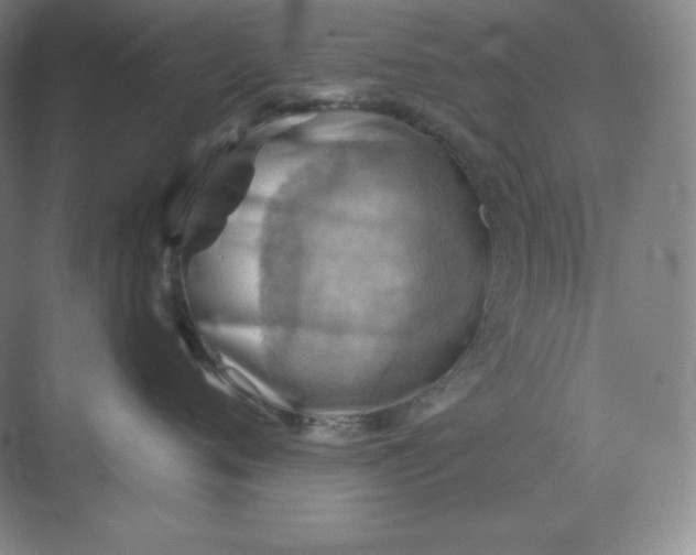 X0000068820720200605191833