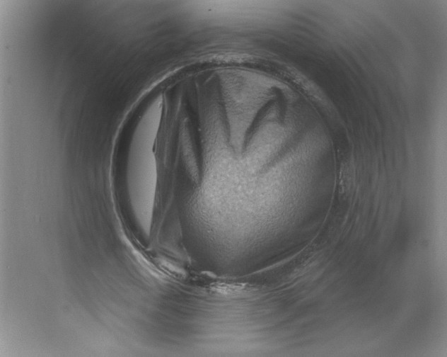 X0000068820722200605191832