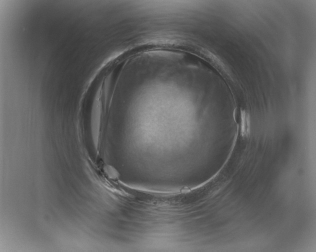 X0000068820723200605191832