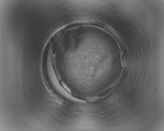 X0000068820724200605191832