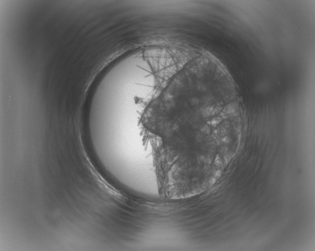 X0000068820725200605191832