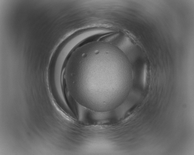 X0000068820726200605191832