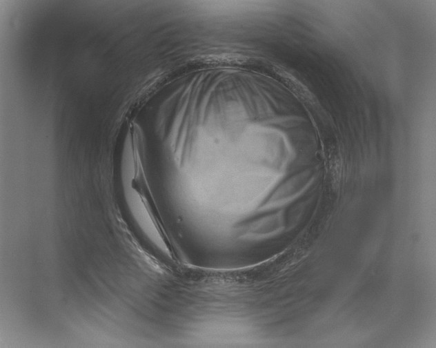 X0000068820729200605191832