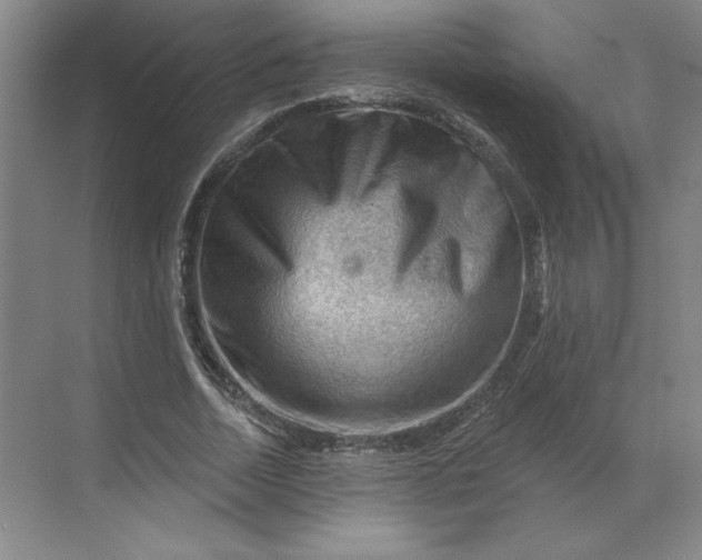 X0000068820730200605191832