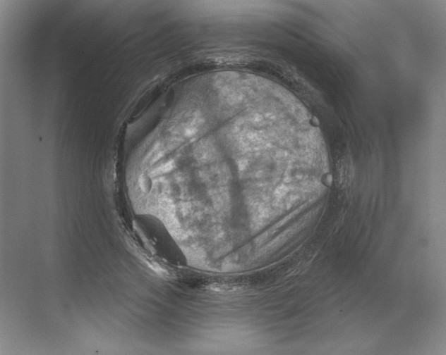 X0000068820733200605191832