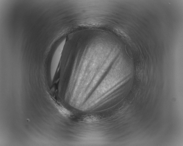 X0000068820735200605191832