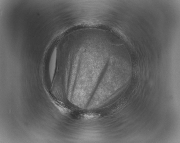 X0000068820736200605191832