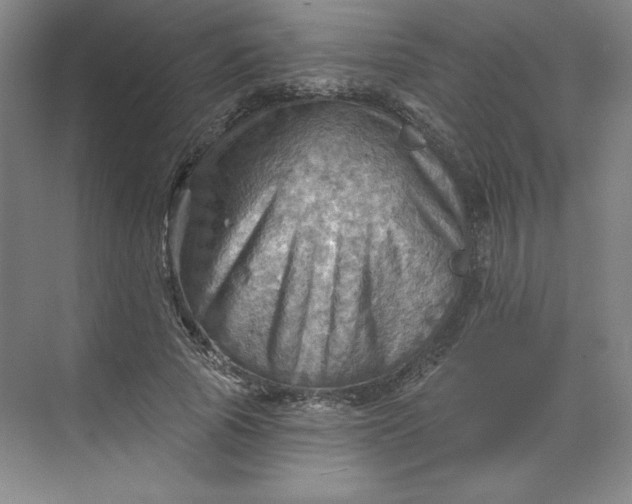 X0000068820737200605191832