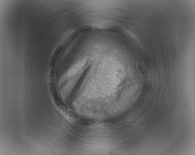 X0000068820738200605191832