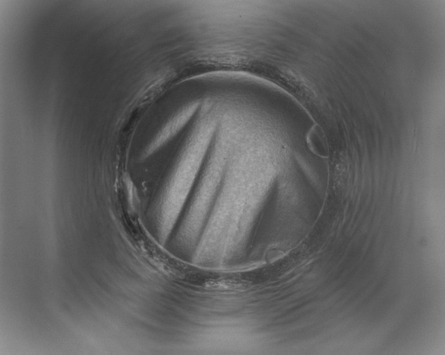 X0000068820739200605191832