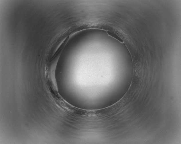 X0000068820740200605191832