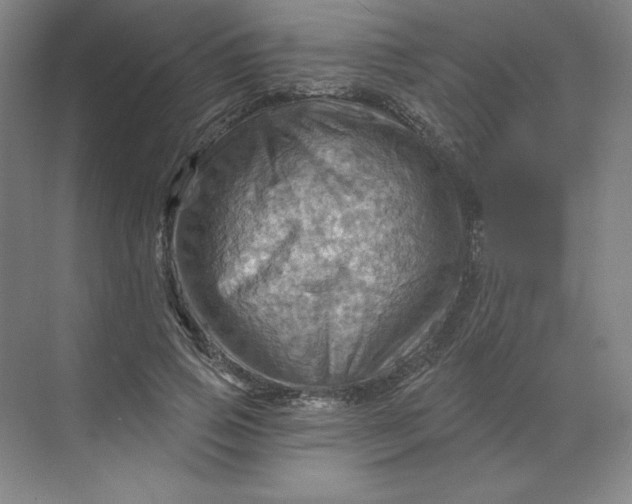 X0000068820741200605191832