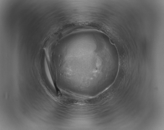 X0000068820742200605191832