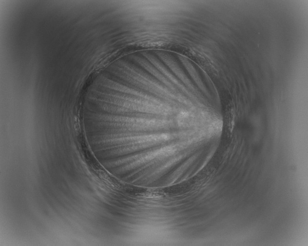 X0000068820743200605191832