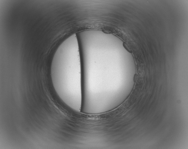 X0000068820744200605191833