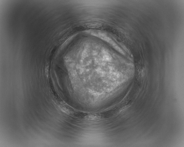 X0000068820745200605191833