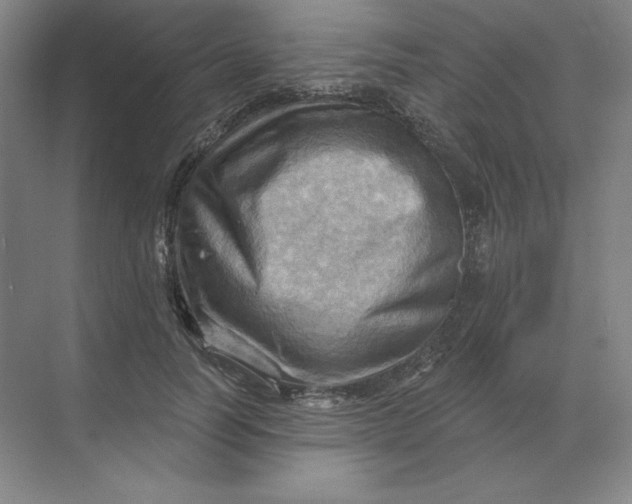 X0000068820746200605191833