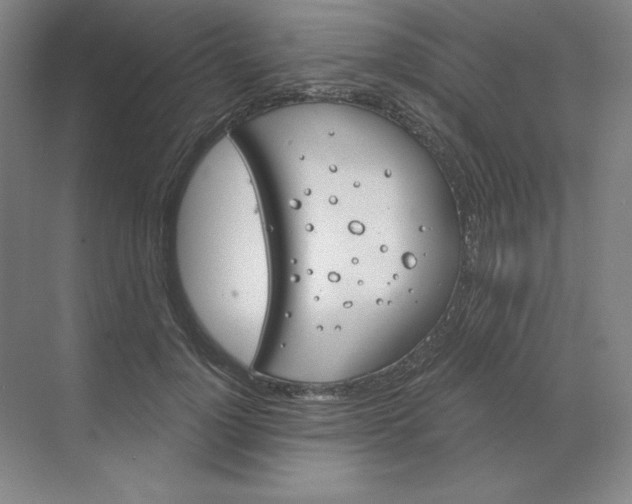 X0000068820748200605191833