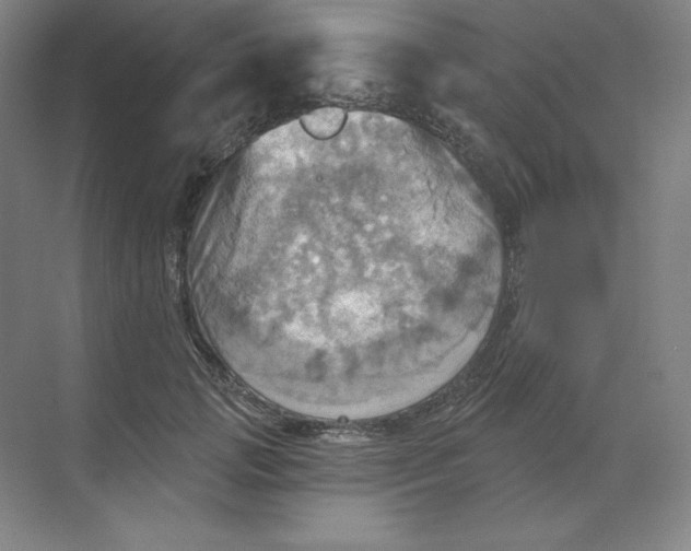 X0000068820749200605191833