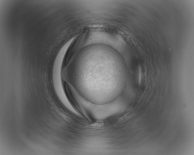 X0000068820750200605191833