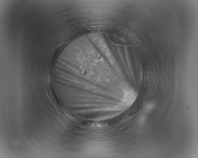 X0000068820751200605191833