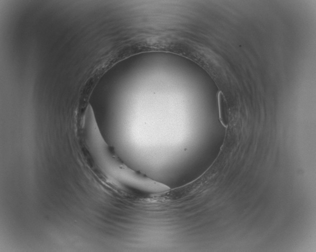 X0000068820752200605191833