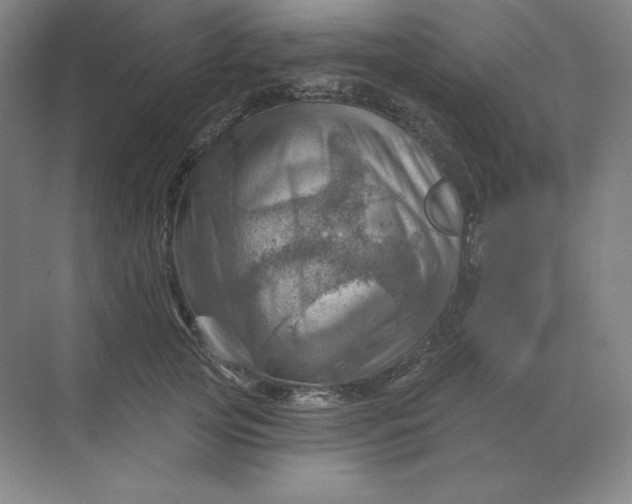 X0000068820753200605191833